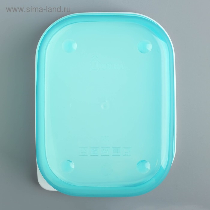 Ланч-бокс &laquo;Meow&raquo;, 500 мл