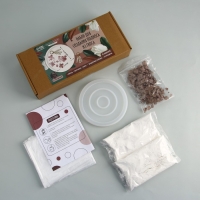 Набор для создания поддона из гипса с сухоцветами «Круг» Набор для создания поддона из гипса с сухоцветами «Круг»