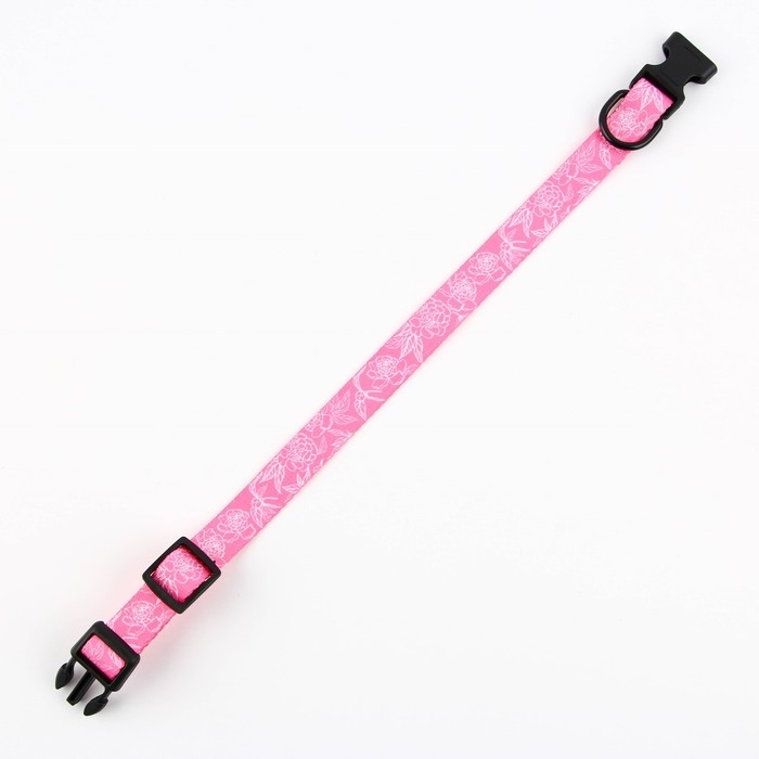 Ошейник My littlle princess, застёжка - фастекс, 2 см 25-40 см Ошейник My littlle princess, застёжка - фастекс, 2 см 25-40 см