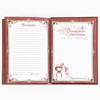 Родословная книга новогодним пояском &laquo;Новый год: Дед мороз&raquo;, 16,5 х 24 см.