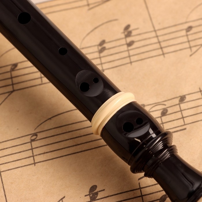 Блокфлейта Music Life, 8 отверстий, черный чехол, шомпол, 30 см