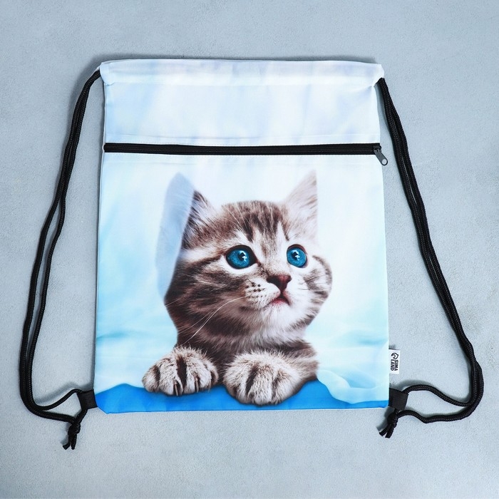 Мешок для обуви &laquo;Милый котик&raquo; 2 секции, 30&times;40 см