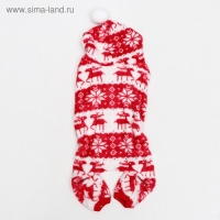 Комбинезон "Олени" с капюшоном, размер S (ДС 25 см, ОГ 35 см, ОШ 25 см), красный Комбинезон "Олени" с капюшоном, размер S (ДС 25 см, ОГ 35 см, ОШ 25 см), красный