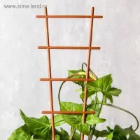 Шпалера, 56&times;19&times;0.5 см, пластик, цвет МИКС, &laquo;Лесенка&raquo;