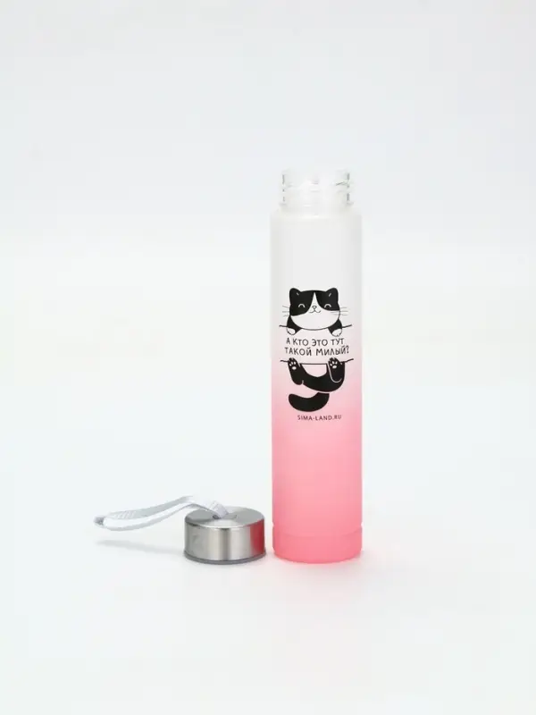 Бутылка для воды &laquo;Котя&raquo;, 300 мл