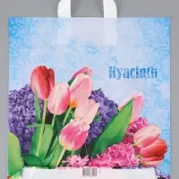 Пакет "Гиацинт, полиэтиленовый с вырубной ручкой 38х40 см, 40 мкм