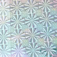 Пленка голография, зелёный, 70&times;100 см, рисунок МИКС