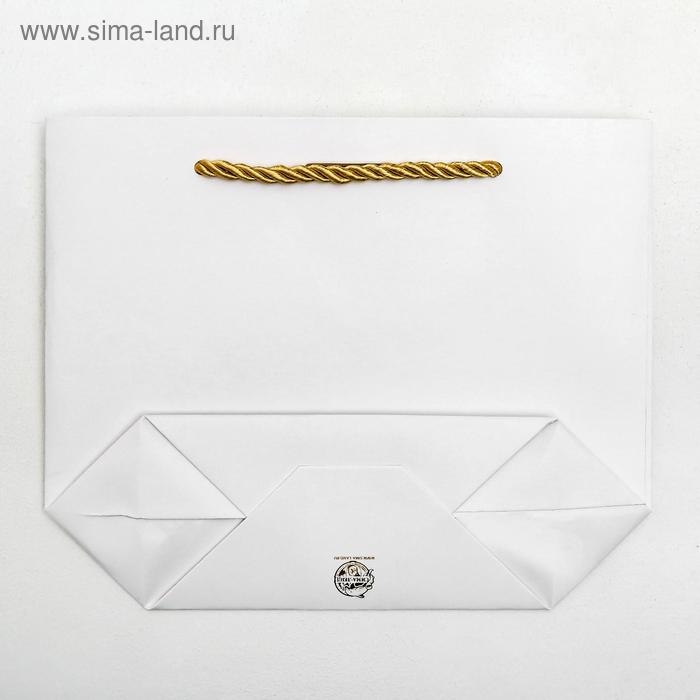 Пакет подарочный, упаковка, Present, 14 х 17 х 7 см