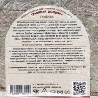 Шапочка травяная "Грибная" Шапочка травяная "Грибная"