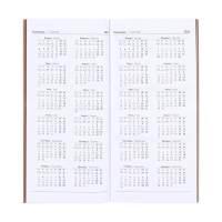 Еженедельник датированный 2025 года, 80х165 мм, 64 листа ESCALADA, мягкая обложка из искусственной кожи, блинтовое тиснение, блок 70 г/м&sup2;, бежевый