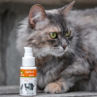 Зубной гель "Пижон" для кошек и собак, ферменты и прополис, 50 мл Зубной гель "Пижон" для кошек и собак, ферменты и прополис, 50 мл