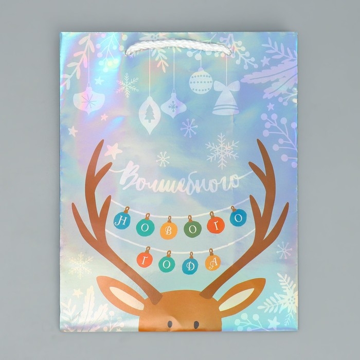 Пакет голографический &laquo;Волшебного&raquo;, MS 18 х 23 х 10 см, Новый год