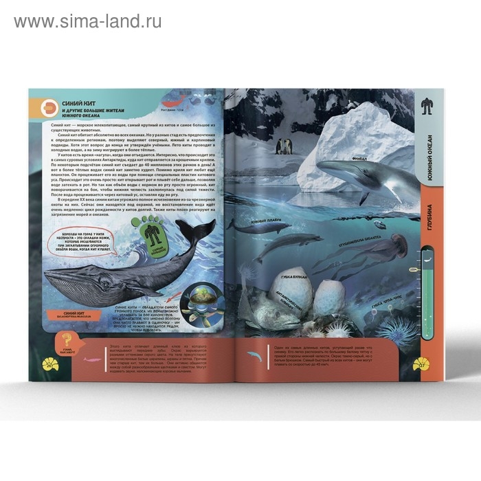 Энциклопедия 4D в дополненной реальности «Подводные жители» Энциклопедия 4D в дополненной реальности «Подводные жители»