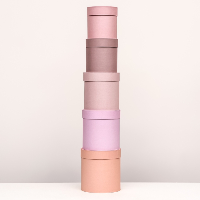 Набор шляпных коробок 5 в 1 «Крема», 20 × 19,5, 15 х 15 см Набор шляпных коробок 5 в 1 «Крема», 20 × 19,5, 15 х 15 см