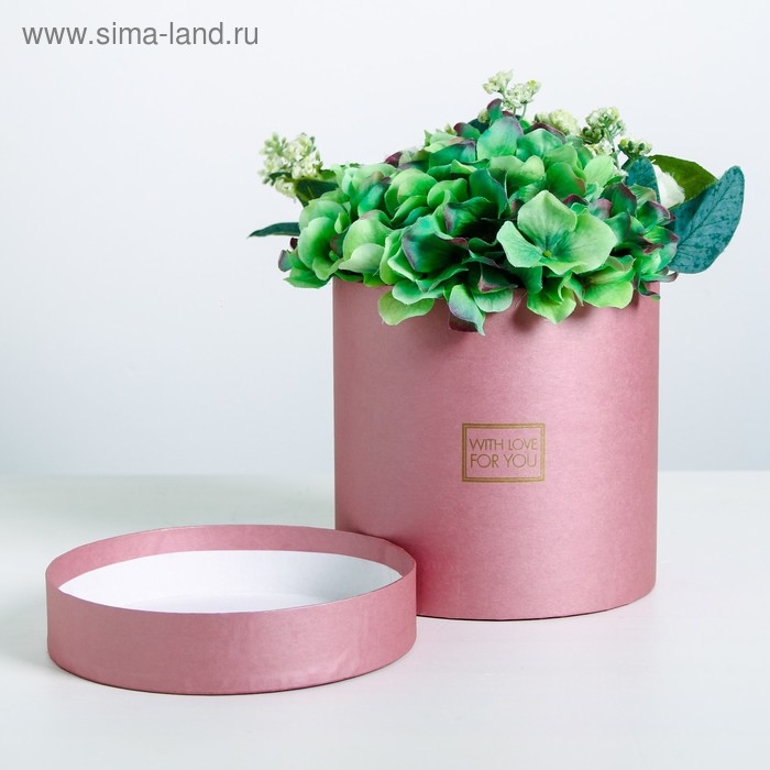 Коробка подарочная круглая, упаковка, «Пантон 06», 16 х 16 х 16 см Коробка подарочная круглая, упаковка, «Пантон 06», 16 х 16 х 16 см