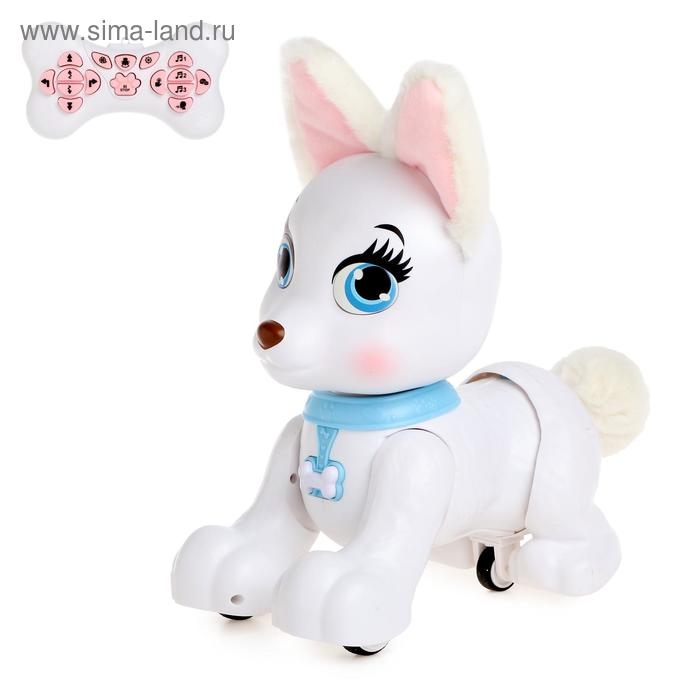 Робот собака &laquo;Умный питомец&raquo; ZHORYA, на пульте управления, интерактивный: реагирует на касания, звук, свет, на аккумуляторе