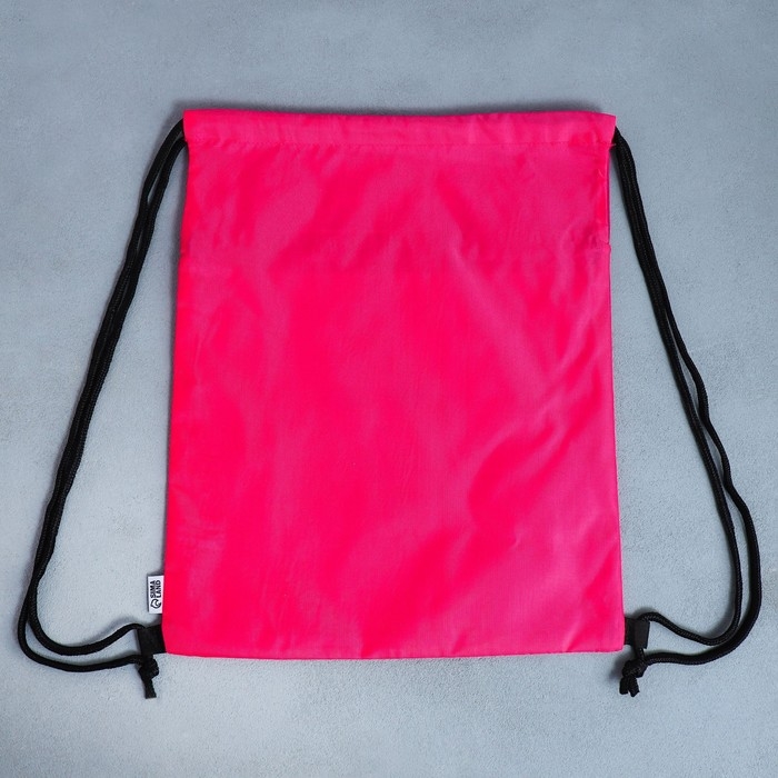 Мешок для обуви &laquo;Самая красивая&raquo; 2 секции, 30 х 40 см