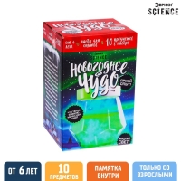 Набор для опытов «Новогоднее чудо» Набор для опытов «Новогоднее чудо»