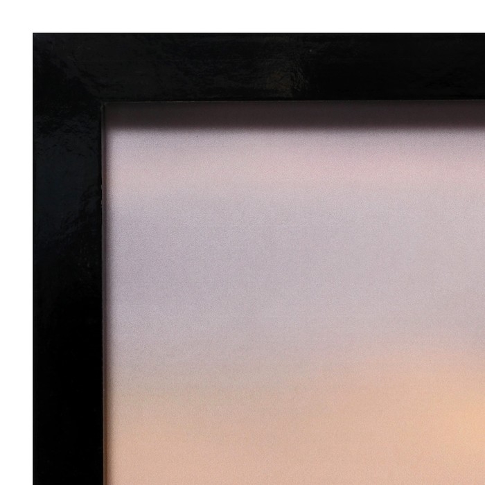 Картина Картина "Кони" 60х100 (65х105) см