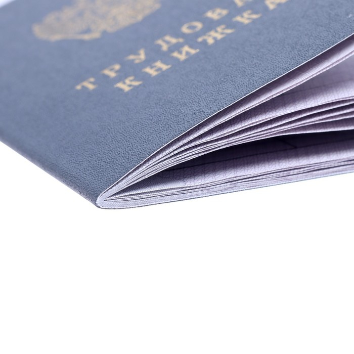 Бланк Бланк "Трудовая книжка" без голограммы