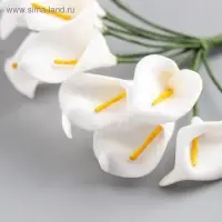 Декор для творчества "Белые каллы" (набор-букет 12 цветков) 10 см