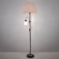 Торшер 19030/2BK E27 40Вт черный 41х41х180 см