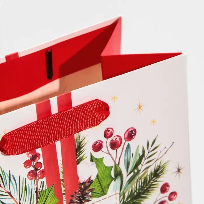 Пакет подарочный новогодний ламинированный &laquo;Чудесного Нового Года&raquo;, MS 18 х 23 х 10 см