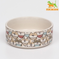 Миска керамическая "Хаски" 200мл, 10,5 х 4 см Миска керамическая "Хаски" 200мл, 10,5 х 4 см