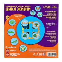 Развивающая игра из дерева &laquo;Цикл жизни&raquo;