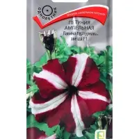 Семена цветов Петуния ампельная Лавина пурпурная звезда, F1, 10шт