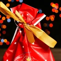 Пакет полиэтиленовый подарочный &laquo;Новогодний шар&raquo;, с завязками, 15&times;23 см