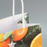 Пакет под бутылку &laquo;Мандарины&raquo;, 13 x 36 x 10 см