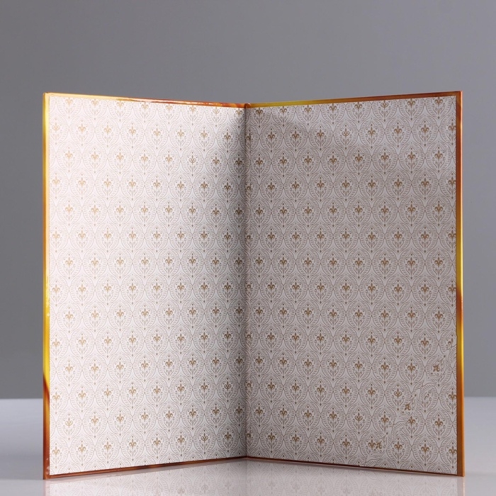 Папка адресная на выпускной «Выпускнику!», А4 Папка адресная на выпускной «Выпускнику!», А4