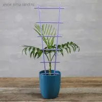 Шпалера, 56&times;19&times;0.5 см, пластик, цвет МИКС, &laquo;Лесенка&raquo;