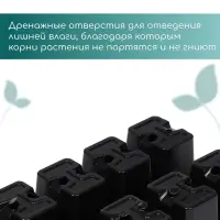 Кассета для рассады Greengo на 10 ячеек, по 100 мл, пластиковая, чёрная, 25&times;14&times;5 см