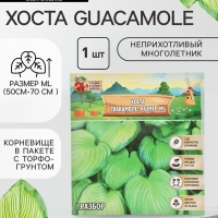 Хоста Guacamole, корневище в пакете с торфогрунтом, р-р I, размер ML,1 шт.