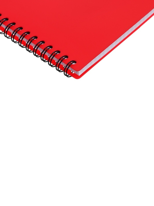 Тетрадь А5 80л кл на гребне ErichKrause Reef, пласт обл, блок оф, корал