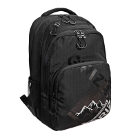 Рюкзак молодежный, 45&times;32х23 см, Grizzly 530, эргономичная спинка, отделение для ноутбука, чёрный, RU-530-4_1