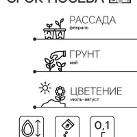 Семена цветов Зорька "Огненный крест", ц/п, 0,1 г