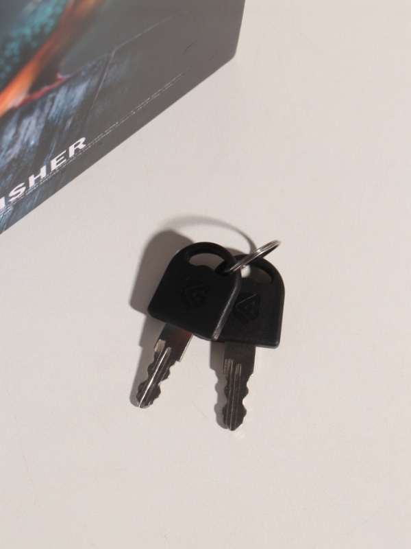 Сейф-книга дерево кожзам "Птицы. Зимородок" 21х13х5 см