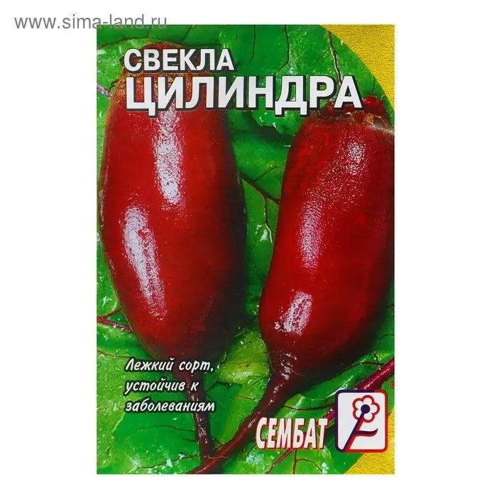 Семена Свекла "Цилиндра", 1 г