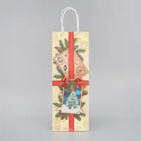 Пакет под бутылку &laquo;Почта&raquo;, 13 x 36 x 10 см