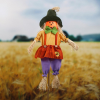 Огородное пугало &laquo;Тыква&raquo;, h = 100 см, МИКС. Greengo