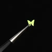 Пайетки для декора &laquo;Бабочки NEON&raquo;, разноцветные