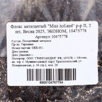 Флокс метельчтый "Miss holland" р-р II, 2 шт, Весна 2025, ЭКОНОМ,