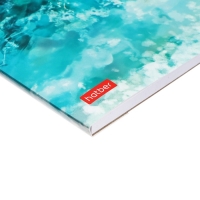 Альбом для рисования, А4 20 листов, Hatber «Золотые рыбки» белые листы Альбом для рисования, А4 20 листов, Hatber «Золотые рыбки» белые листы