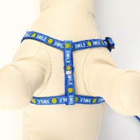 Комплект амуници "Смайлик", ширина 1 см, поводок 120 см, шлейка 26-38 см, синий