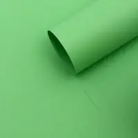 Бумага упаковочная крафт &laquo;Зеленый&raquo;,50&times;70 см