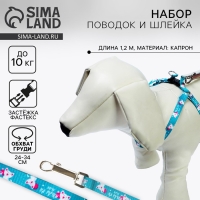 Комплект &laquo;Хочу на ручки&raquo;, шлейка 24-34х1 см, поводок 120 см