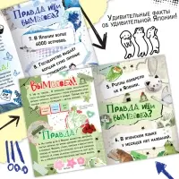 Книга &laquo;Правда или ложь. 24 факта о Японии&raquo;, А5, Аниме